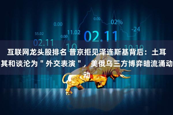 互联网龙头股排名 普京拒见泽连斯基背后：土耳其和谈沦为＂外交表演＂，美俄乌三方博弈暗流涌动