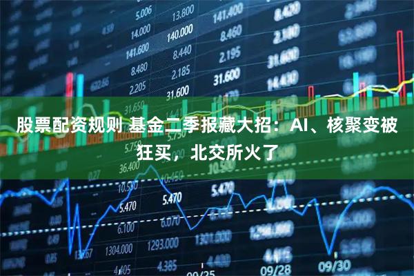 股票配资规则 基金二季报藏大招：AI、核聚变被狂买，北交所火了